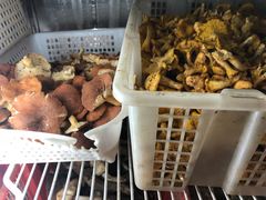 -九溪蒋记菌子宴