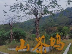 -火炉山森林公园