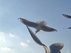 -海云台海滩