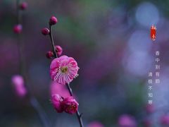 -尚贤河湿地