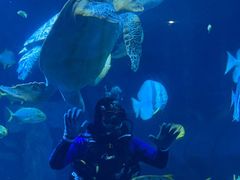 -太平洋海底世界