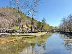 -白水寺森林公园
