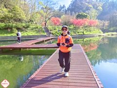 -武当山风景区