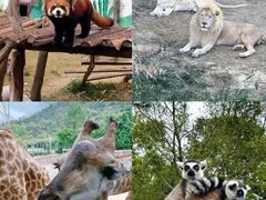 -泉州海丝野生动物世界