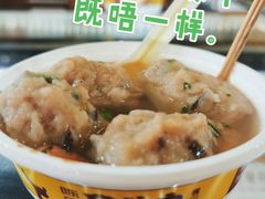 原味盲公丸-无影脚佛山陈氏盲公丸始创店(飞鸿街店)