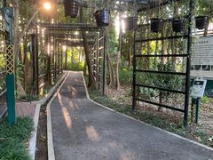 -火炉山森林公园