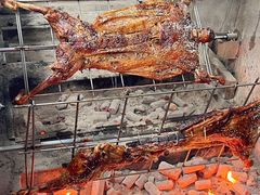 -羊门客在·烤盐池滩羊·川菜