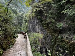 -鹿院坪生态旅游景区