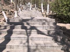 -石老人观光园