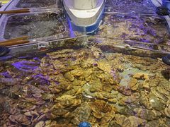 -澜悦港海鲜体验主题餐厅