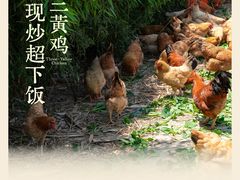 -味上湘菜馆(岳麓山店)