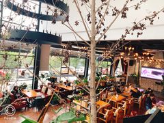 -桉树林A coffee 森林餐厅(三圣乡店)