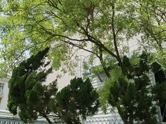 -天津美术学院-校史馆