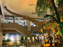 -甘肃地质博物馆