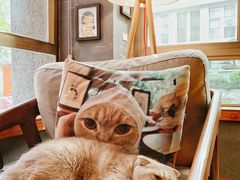 -咖法森林·咖啡  酒吧(天河店)