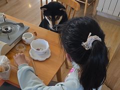 -柴の食堂·日式家庭料理·熊之肆(大学路店)