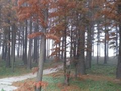 android_upload_pic-采石矶景区