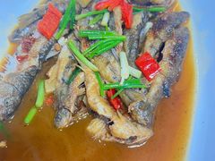 -芦茨金富饭庄·25年老字号·专做稻草鸡