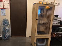 -Mr.Fox狐狸先生超级密室(南山店)