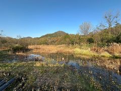 -西湖风景区-江洋畈生态公园