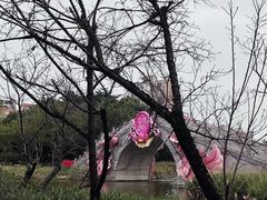 -映月湖公园