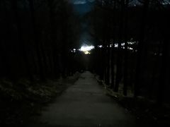 -东白山