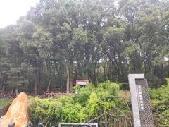 -南京老山国家森林公园