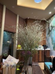 -娇玫荟SPA
