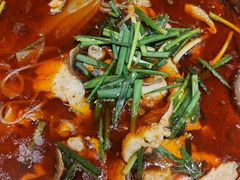 -乡土特色.冷锅鱼.牦牛肉汤锅