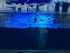 -福州罗源湾海洋世界旅游区