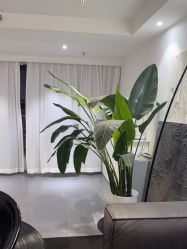 -春田皮肤管理中心品牌旗舰店
