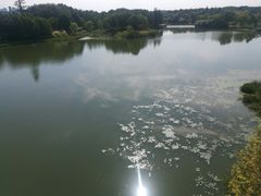 -尚贤河湿地