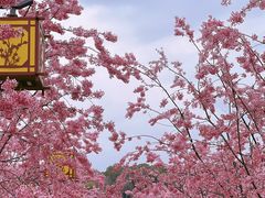 -东湖生态旅游风景区