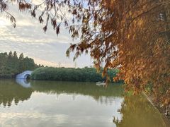 -上海海湾国家森林公园