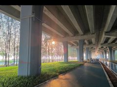 -宝安西湾红树林湿地公园