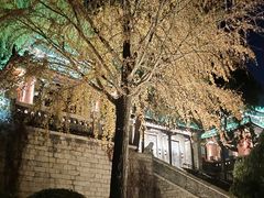 -济南大明湖景区