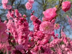 -永定河休闲森林公园