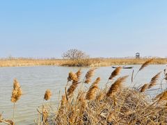 -盐城丹顶鹤湿地生态旅游区
