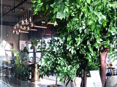 -了不起的考拉咖啡店(高新店)