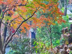 -惠山古镇·寄畅园