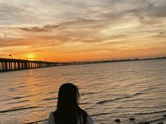 -宝安西湾红树林湿地公园