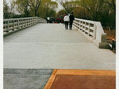 -大兴滨河森林公园