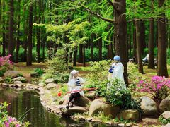 -上海共青森林公园