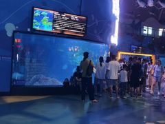 -烟台海昌鲸鲨海洋公园