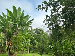 -中国科学院西双版纳热带植物园