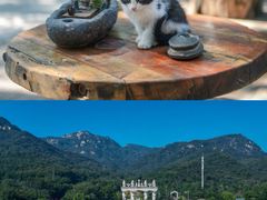 -沂蒙山旅游区云蒙景区(蒙山国家森林公园)