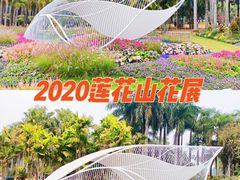 -莲花山公园