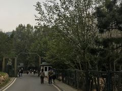 -大连森林动物园