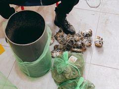 -白沙洲农产品大市场海鲜交易区