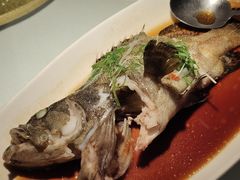 清蒸花尾龙趸-钟菜·粤菜点心·宴请(海上世界·汇港二期店)